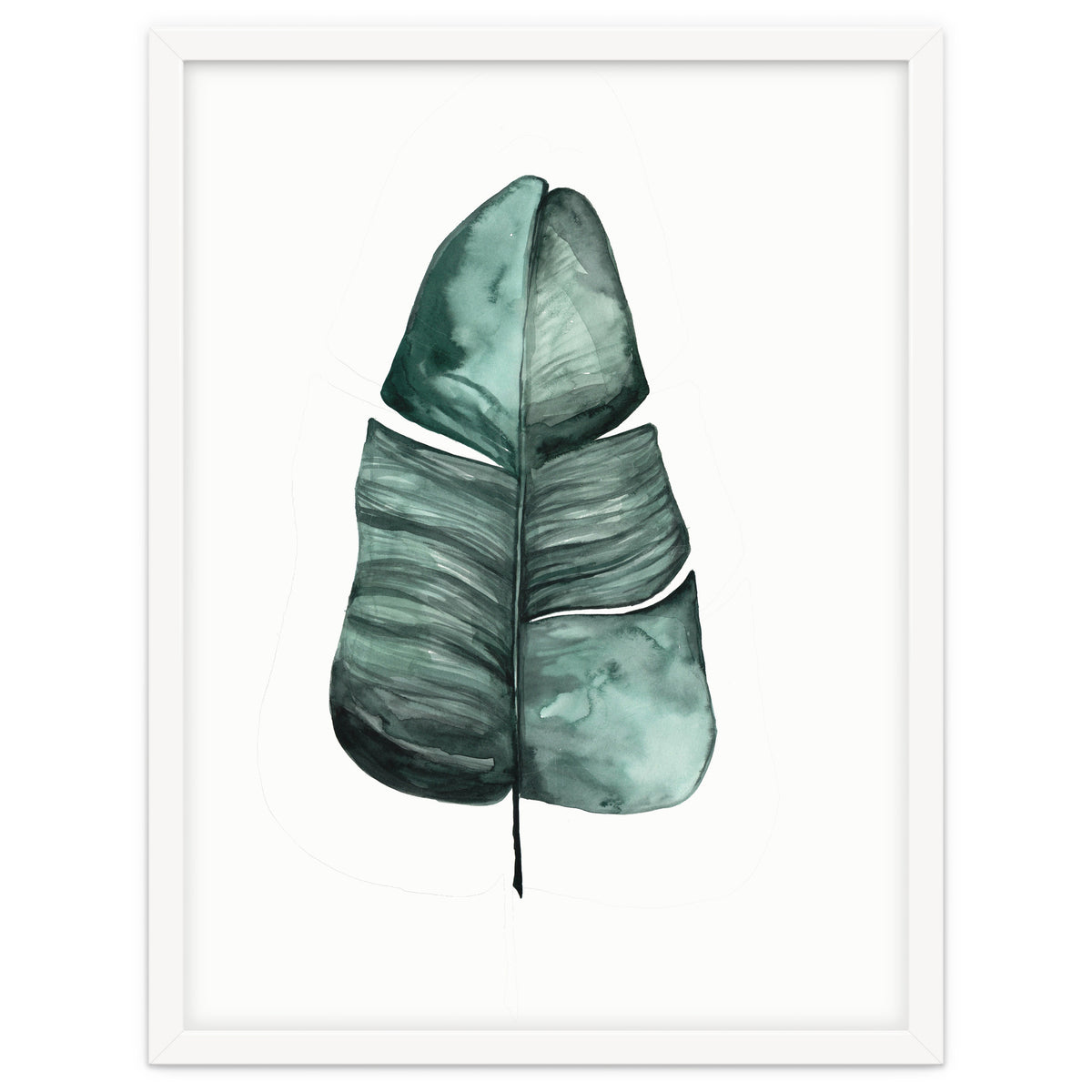 Botanical Illustration Banana Leaf