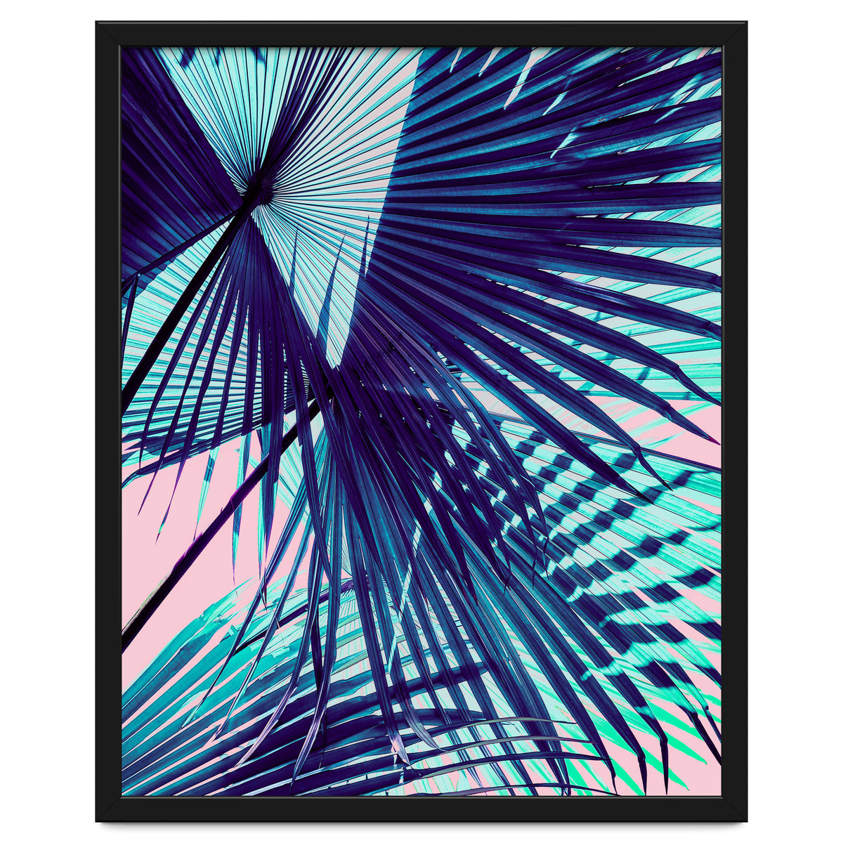 Palm leaf on the beach