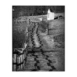 Forestry path (Print Only) thumbnail