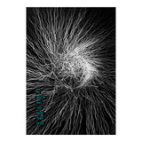 Mad Mind 1 (Print Only) thumbnail