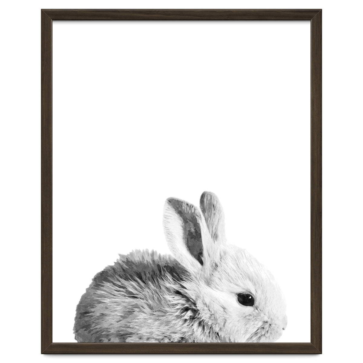 Black and White Bunny Portrait