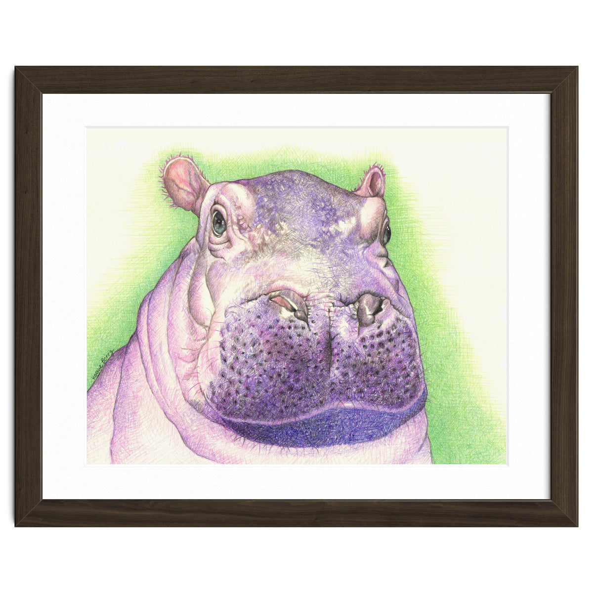 Purple Hippo
