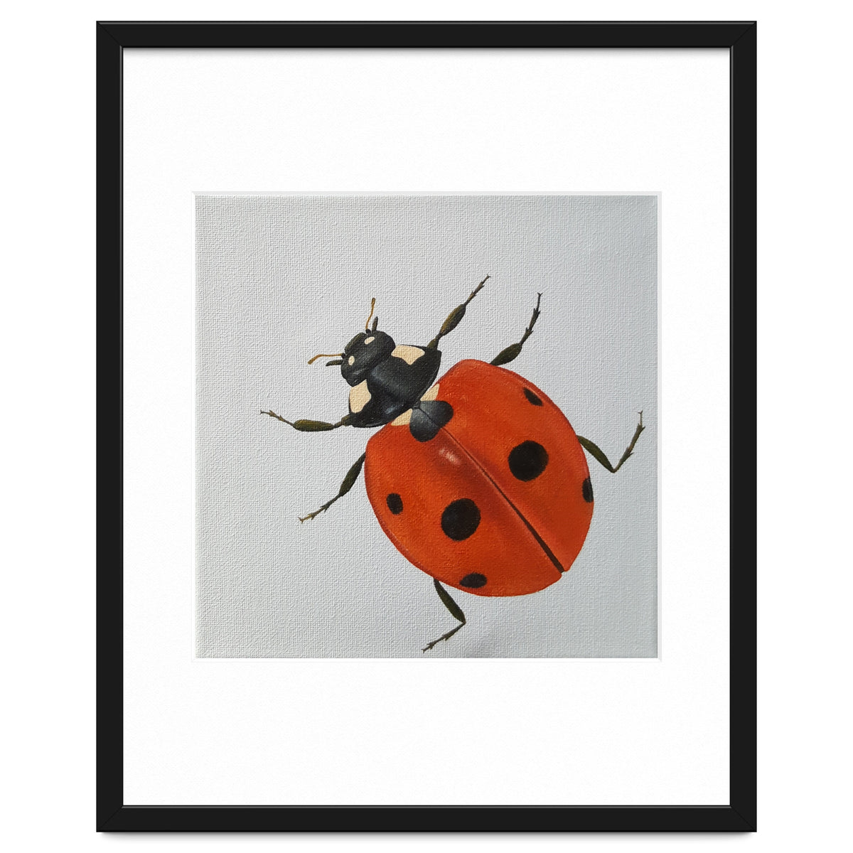 Ladybird