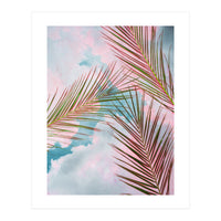 Palms + Sky (Print Only)