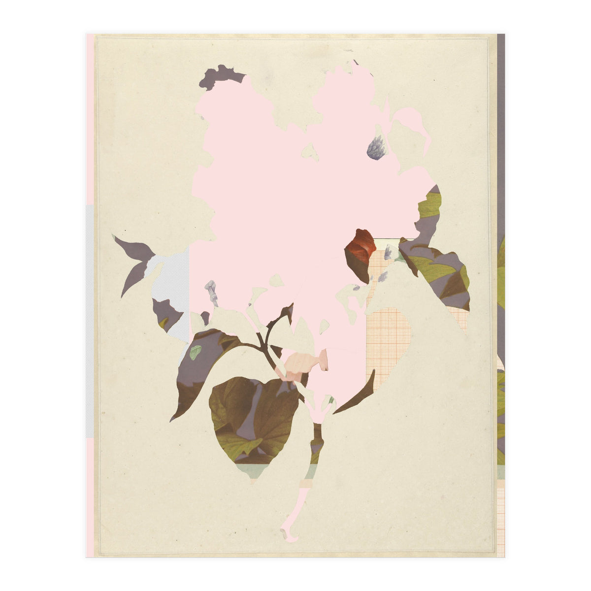 The First Plant · G (Print Only)