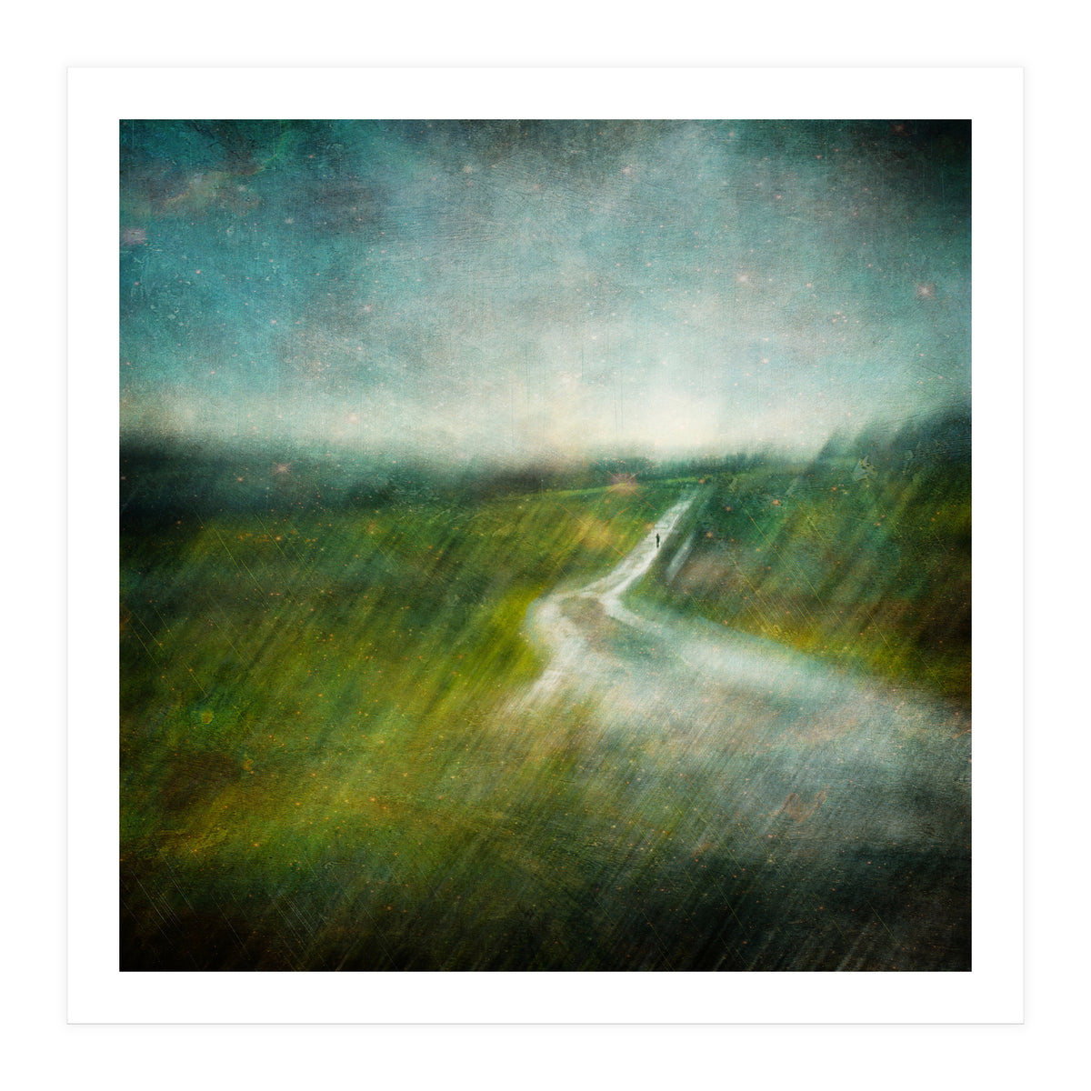 The Road Ahead (Print Only)