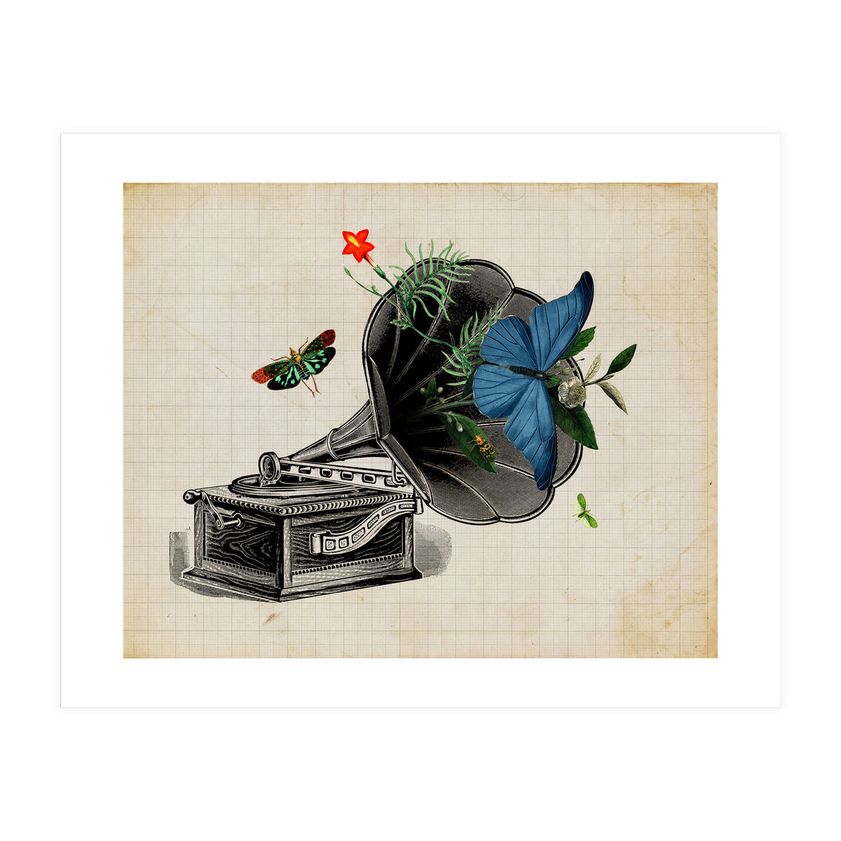 print vintage (Print Only)