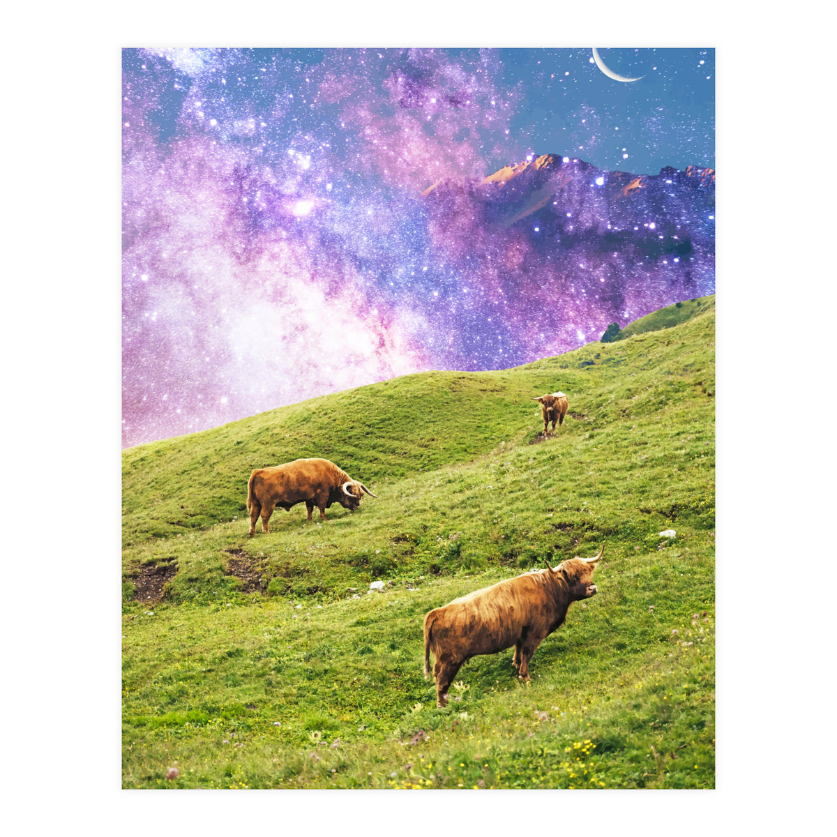 Space Cow Series II (Print Only)