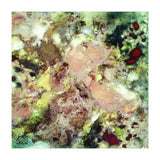 Sugar Coated (Print Only) thumbnail