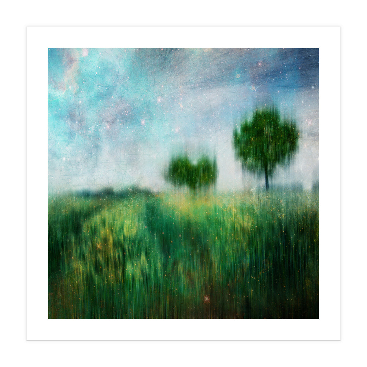 A Star That Fell (Print Only)