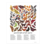 Saturniid Moths of North America (Print Only) thumbnail