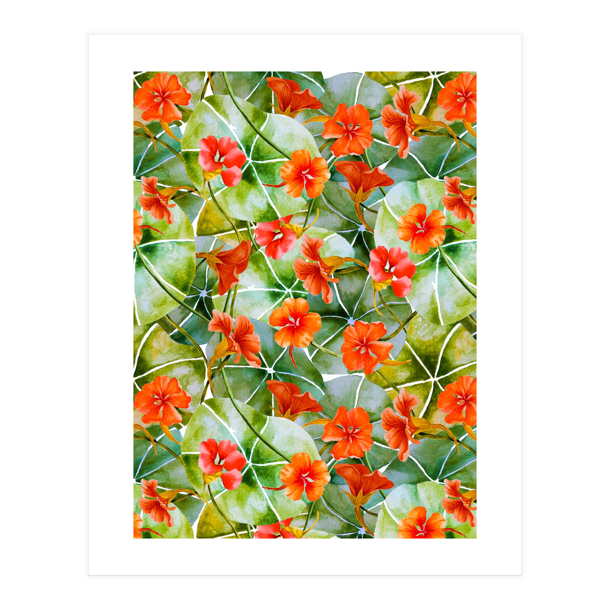 Nasturtiums watercolor 01 (Print Only)