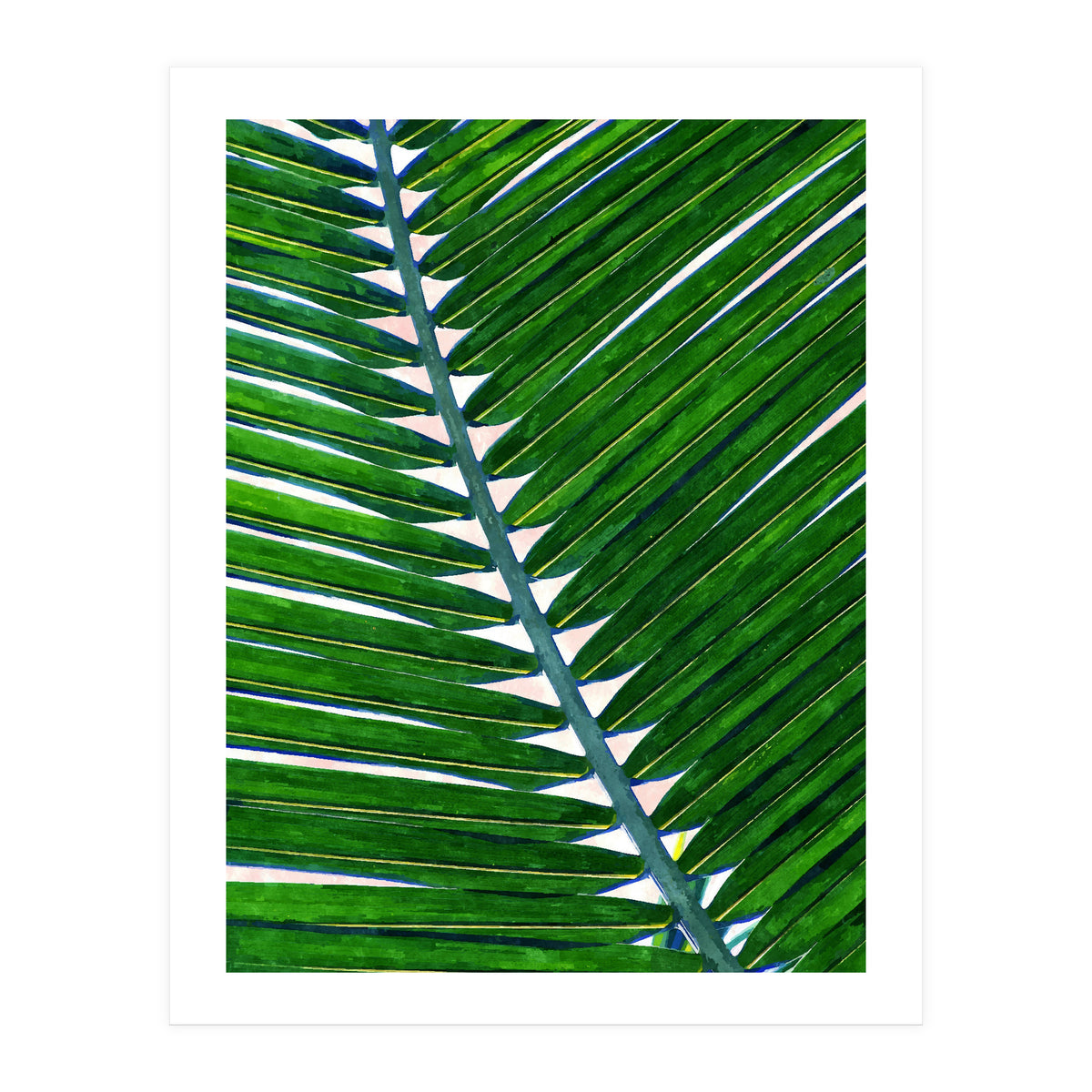 Foliage V3 (Print Only)