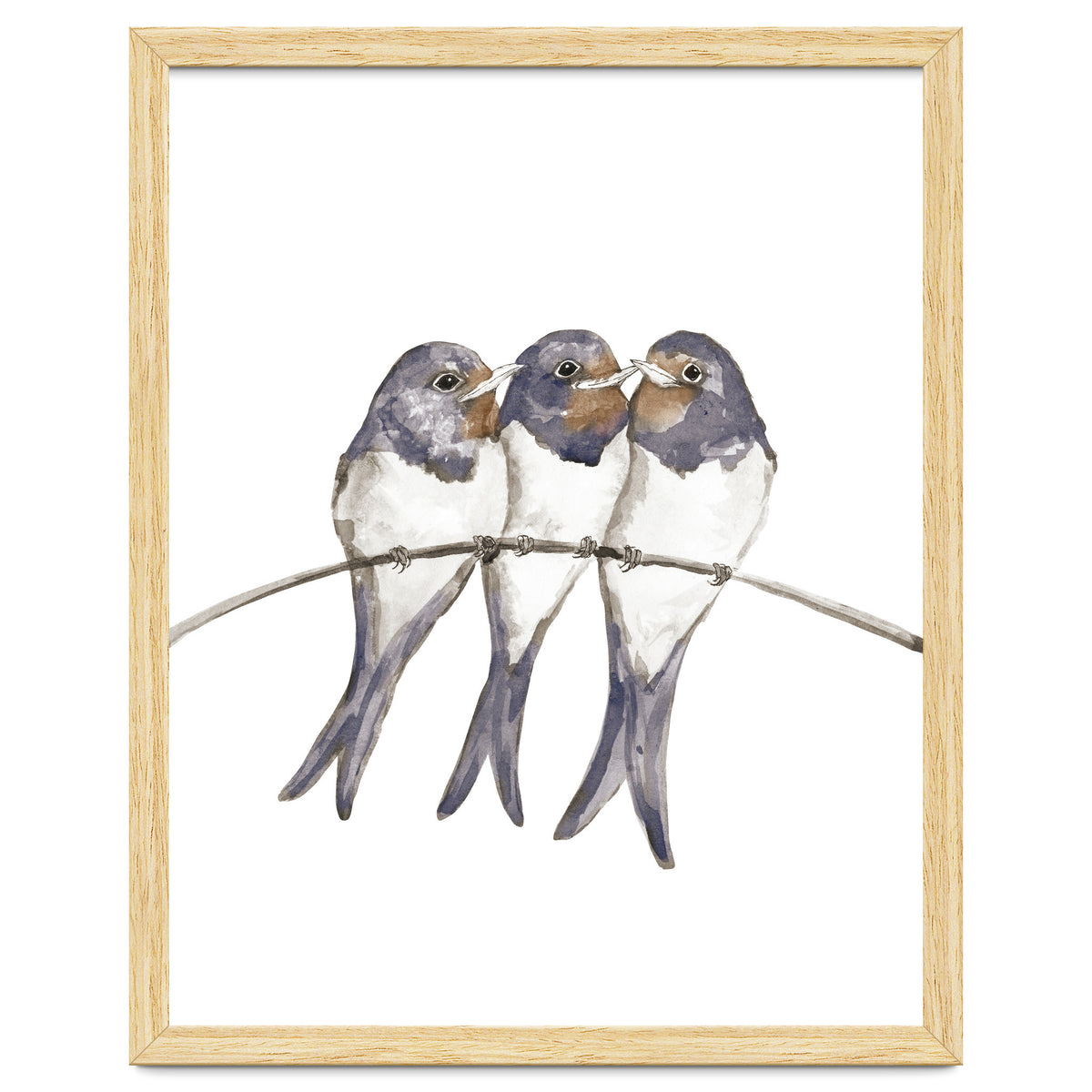 Three young swallows