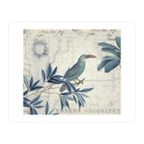 The Birds Voyage  (Print Only) thumbnail