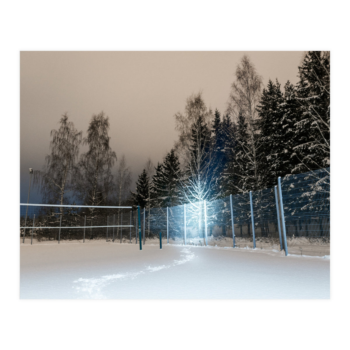 Alien Abduction (Print Only)