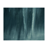 spell (Print Only) thumbnail