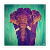 Purple wisdom (Print Only) thumbnail