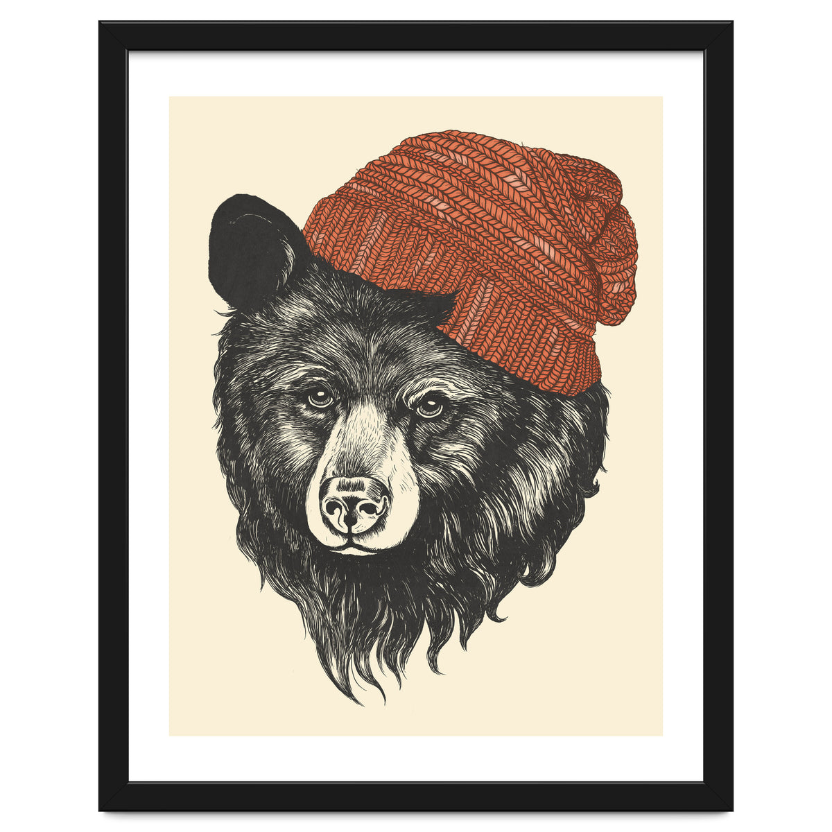 Zissou The Bear