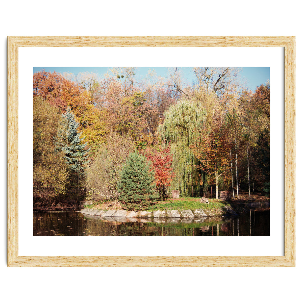 Transition from Summer to Winter