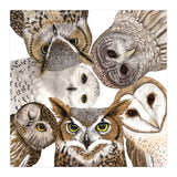 Owls (Print Only) thumbnail