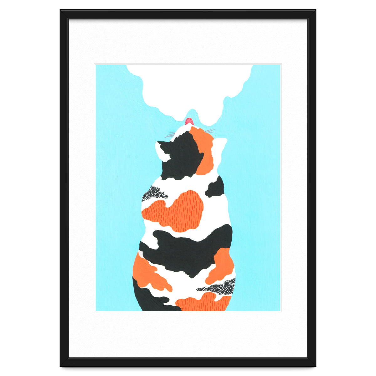 Tri Colored Calico Cat