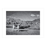Taos (Print Only) thumbnail