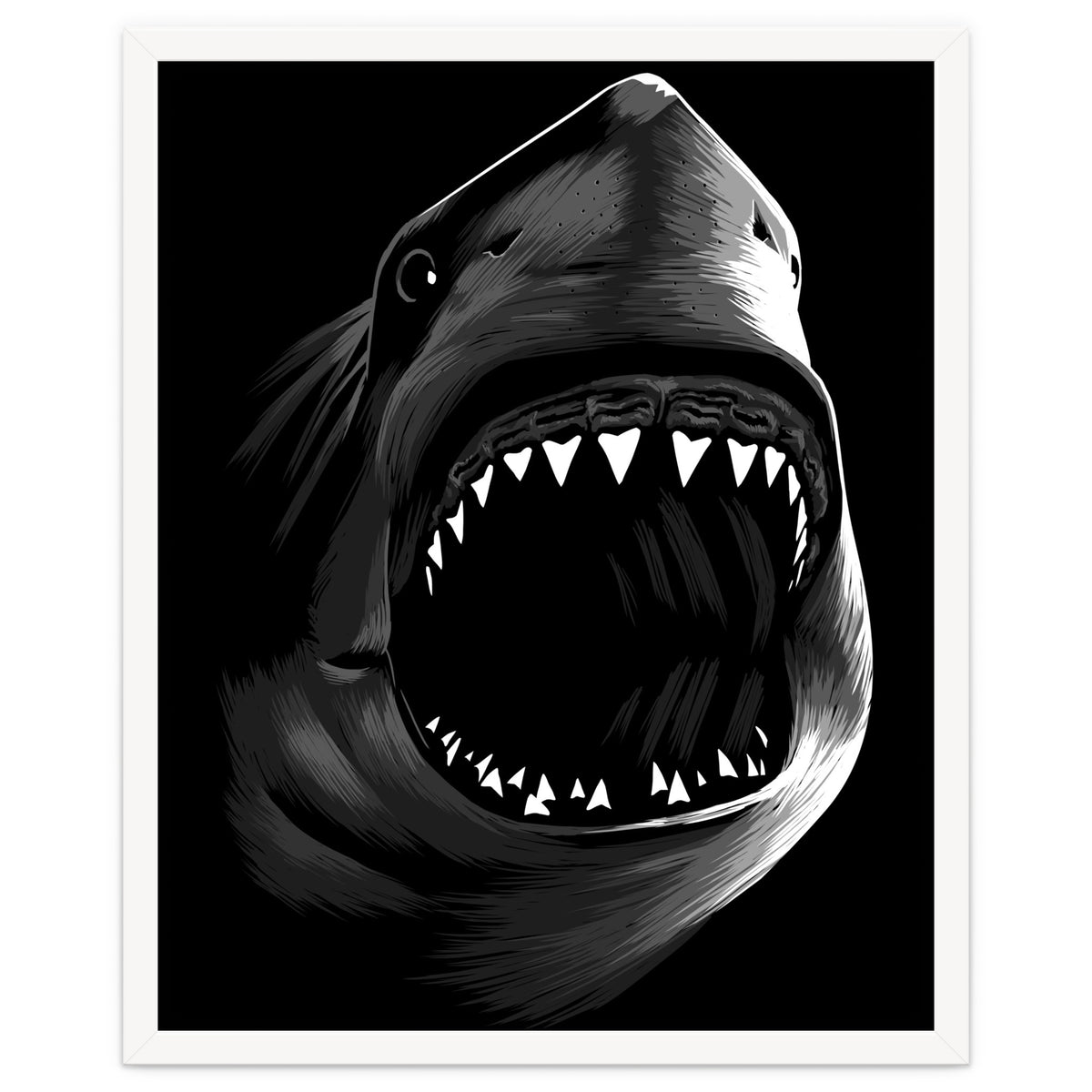 Megalodon