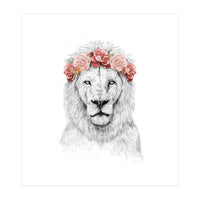 Festival Lion (Print Only)