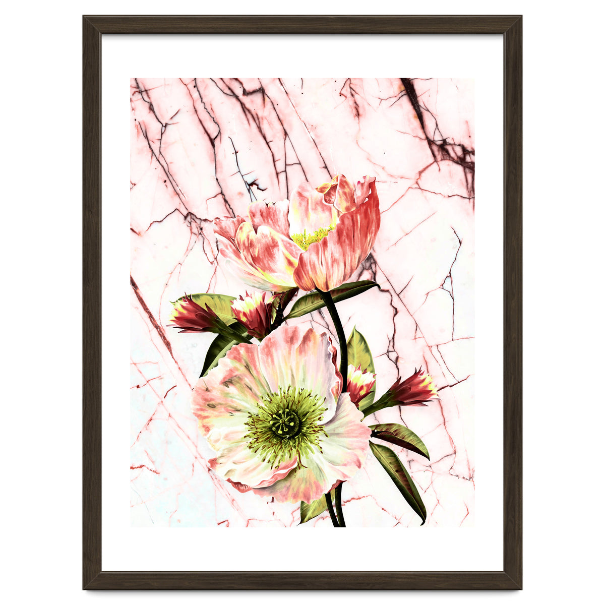 Flowering on pink marble