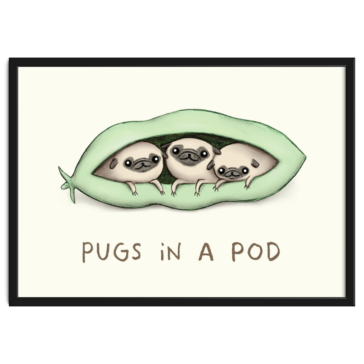 Pugs In A Pod
