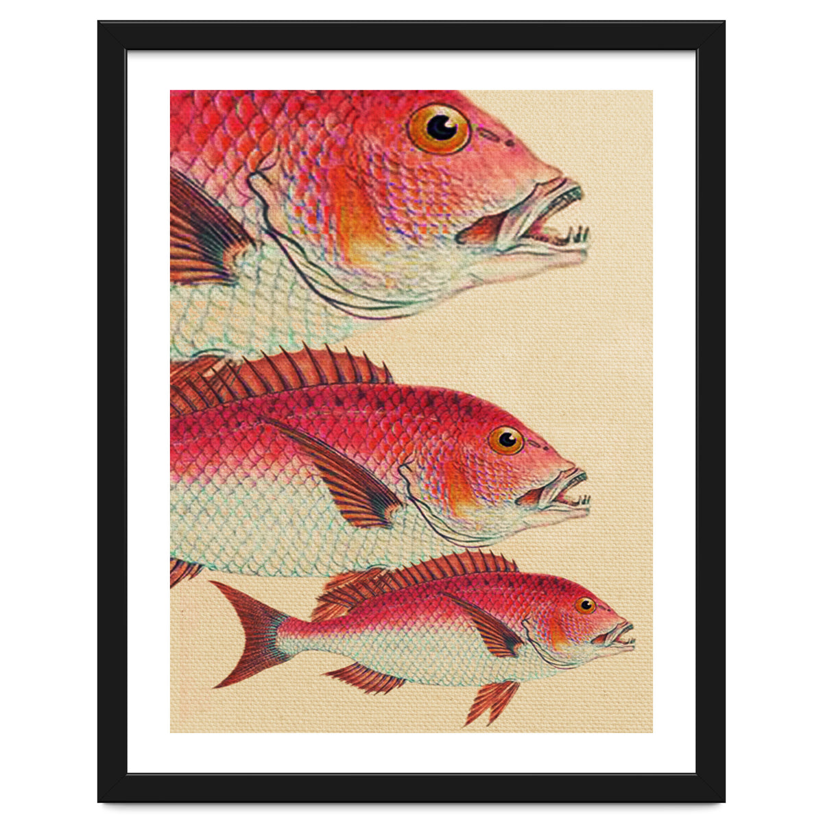 Fish Classic Designs 7