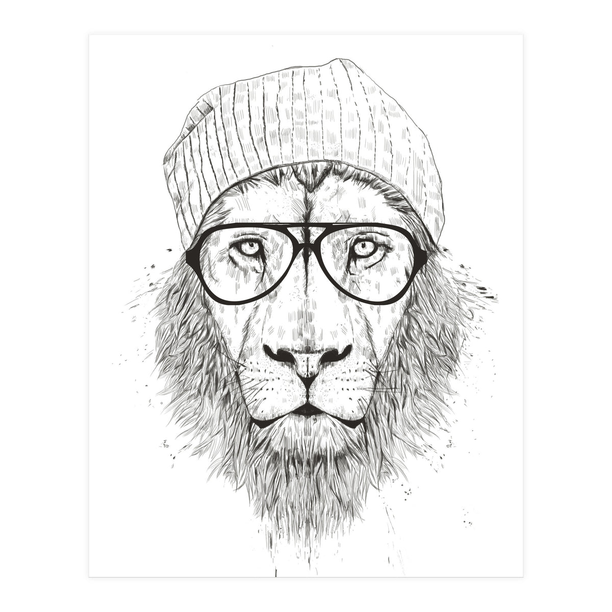 Cool Lion Bw (Print Only)