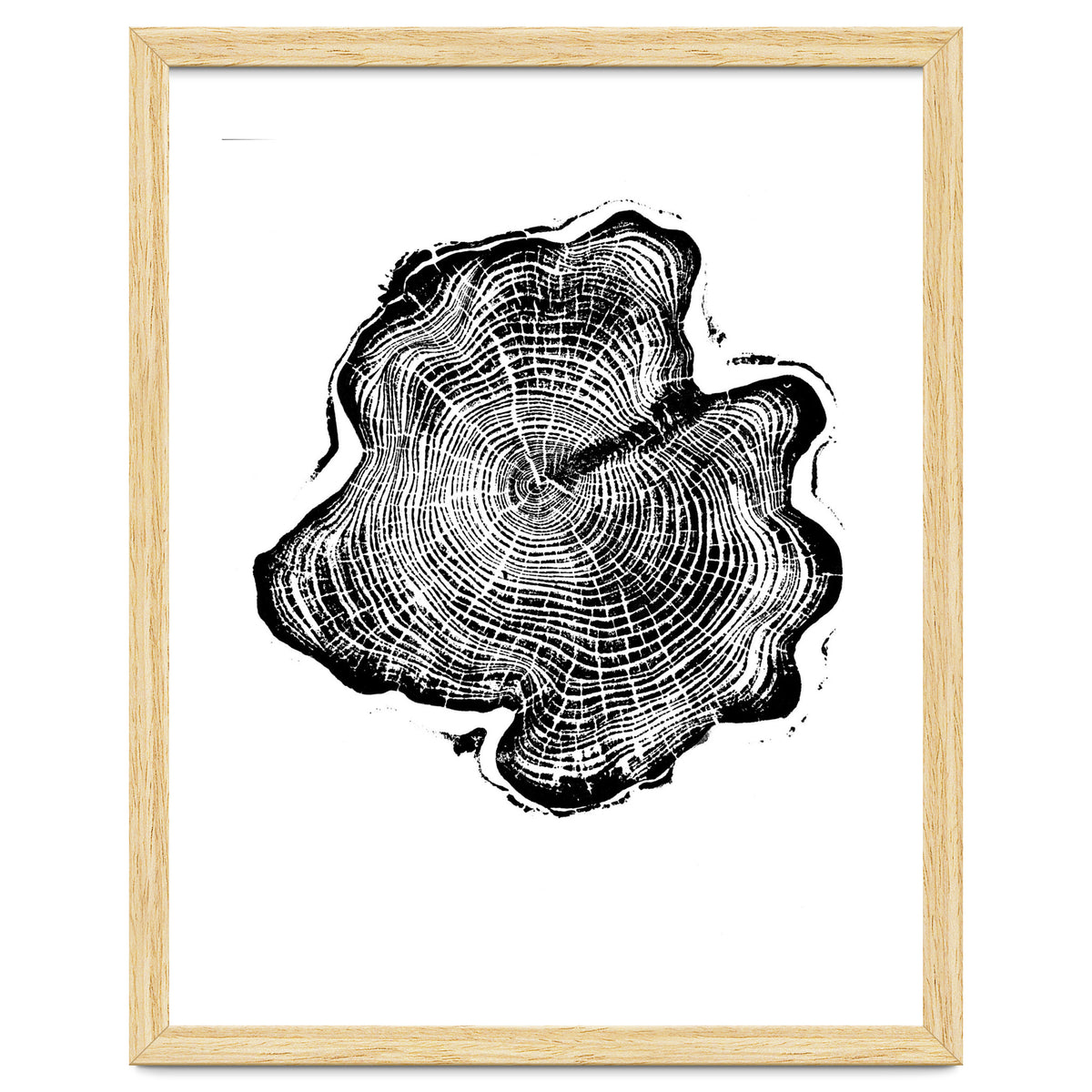 Alaskan Cypress, Tree Ring Art Print, Woodblock