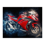 Kawasaki Ninja (Print Only) thumbnail