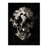 Spring Skull  (Print Only) thumbnail