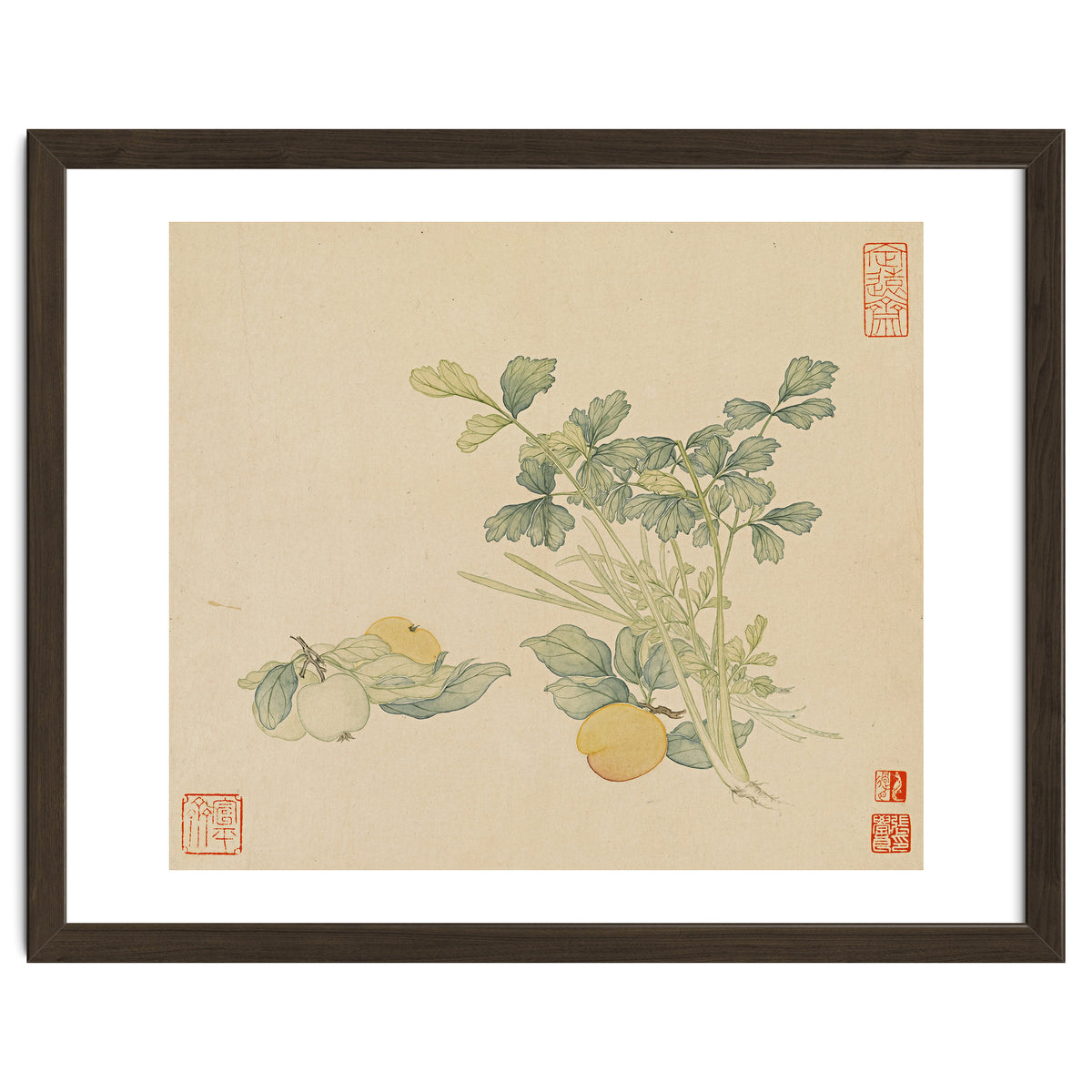 Wang Chengyu~flowers And Vegetables, Vegetables, Fruits, Plums, Apricots, Celery