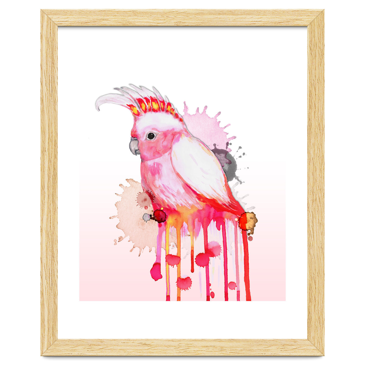 Major Mitchell's cockatoo