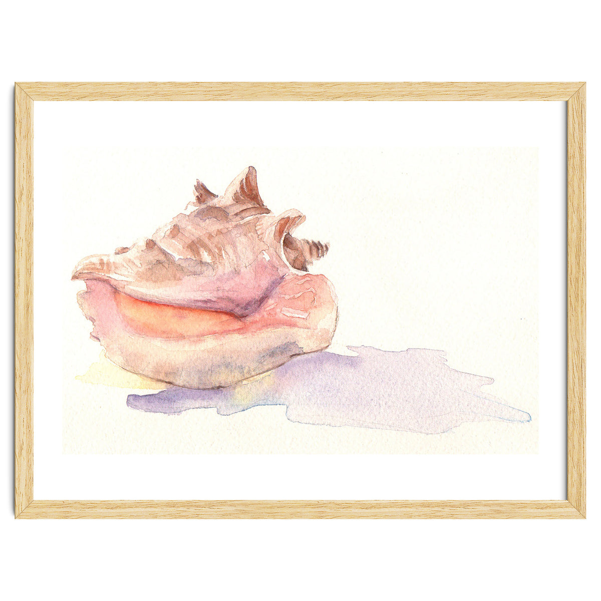 Conch Shell