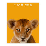 Lion Cub (Print Only) thumbnail