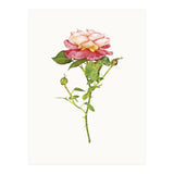 Cc Roses 03 (Print Only) thumbnail