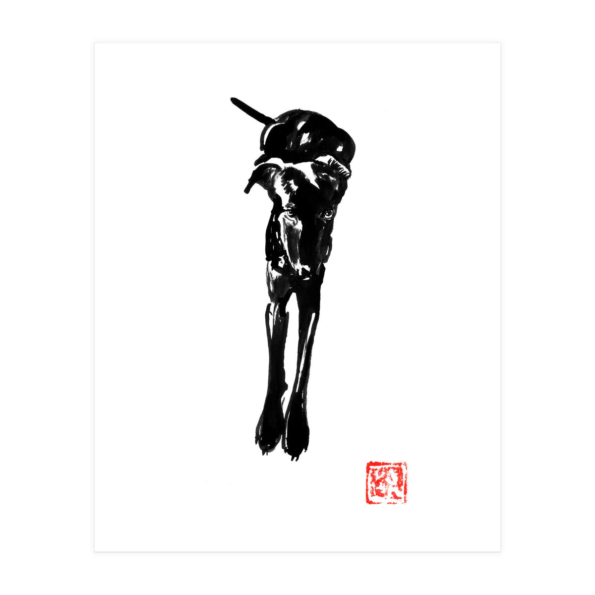 Balck Dog 02  (Print Only)