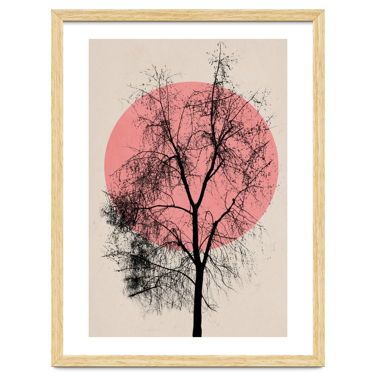 Memories And Moments