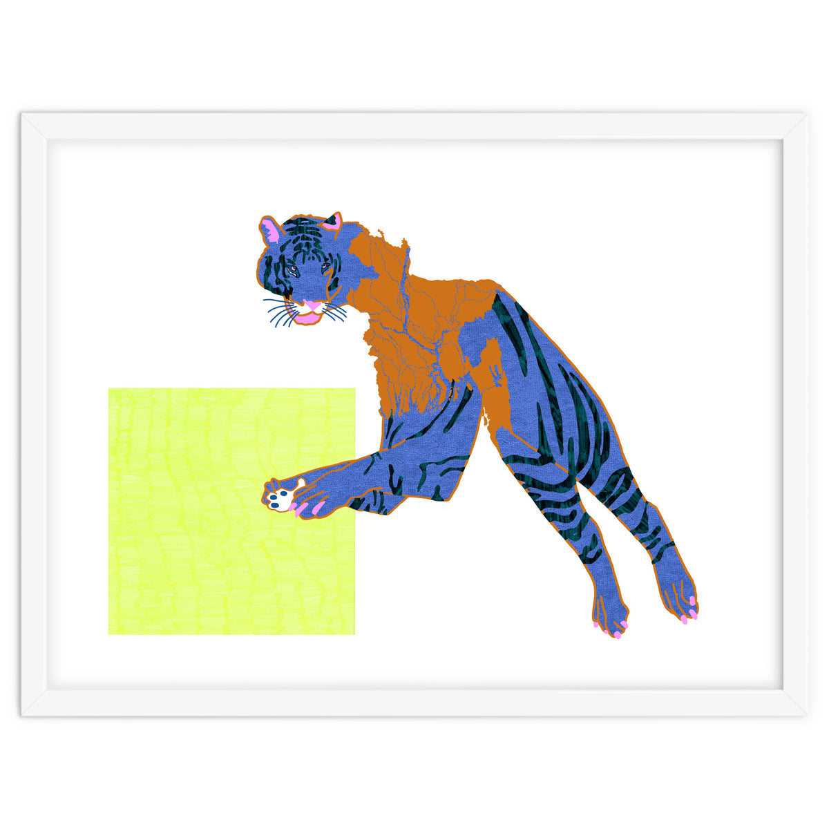 Bangladeshi Bengal Tiger