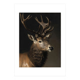 Stag Classical Oil Painting (Print Only) thumbnail