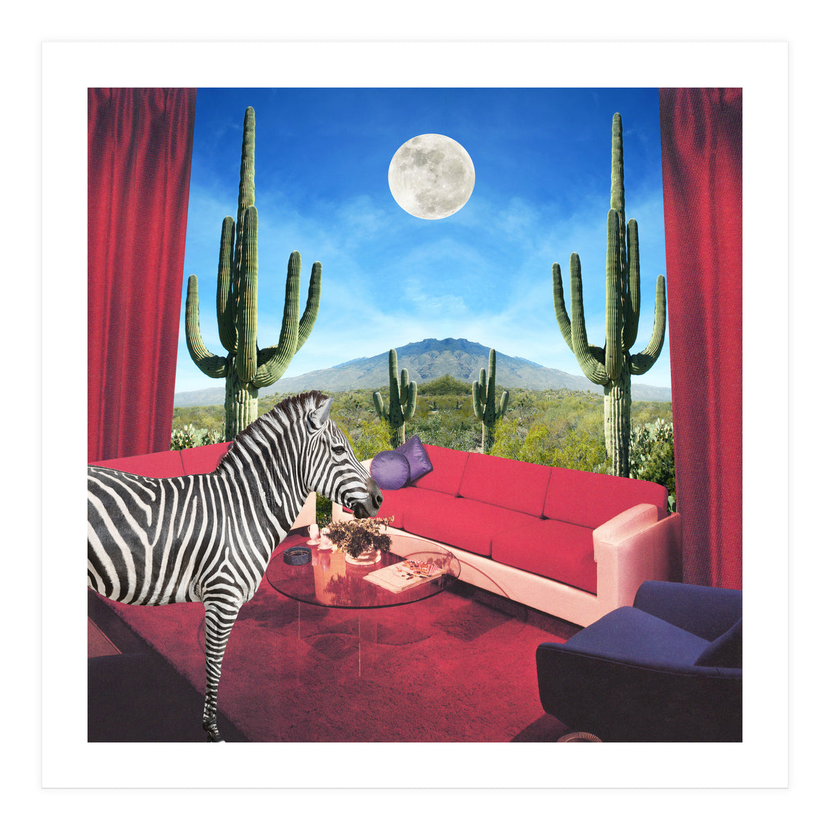 Saguaro Stripes (Print Only)