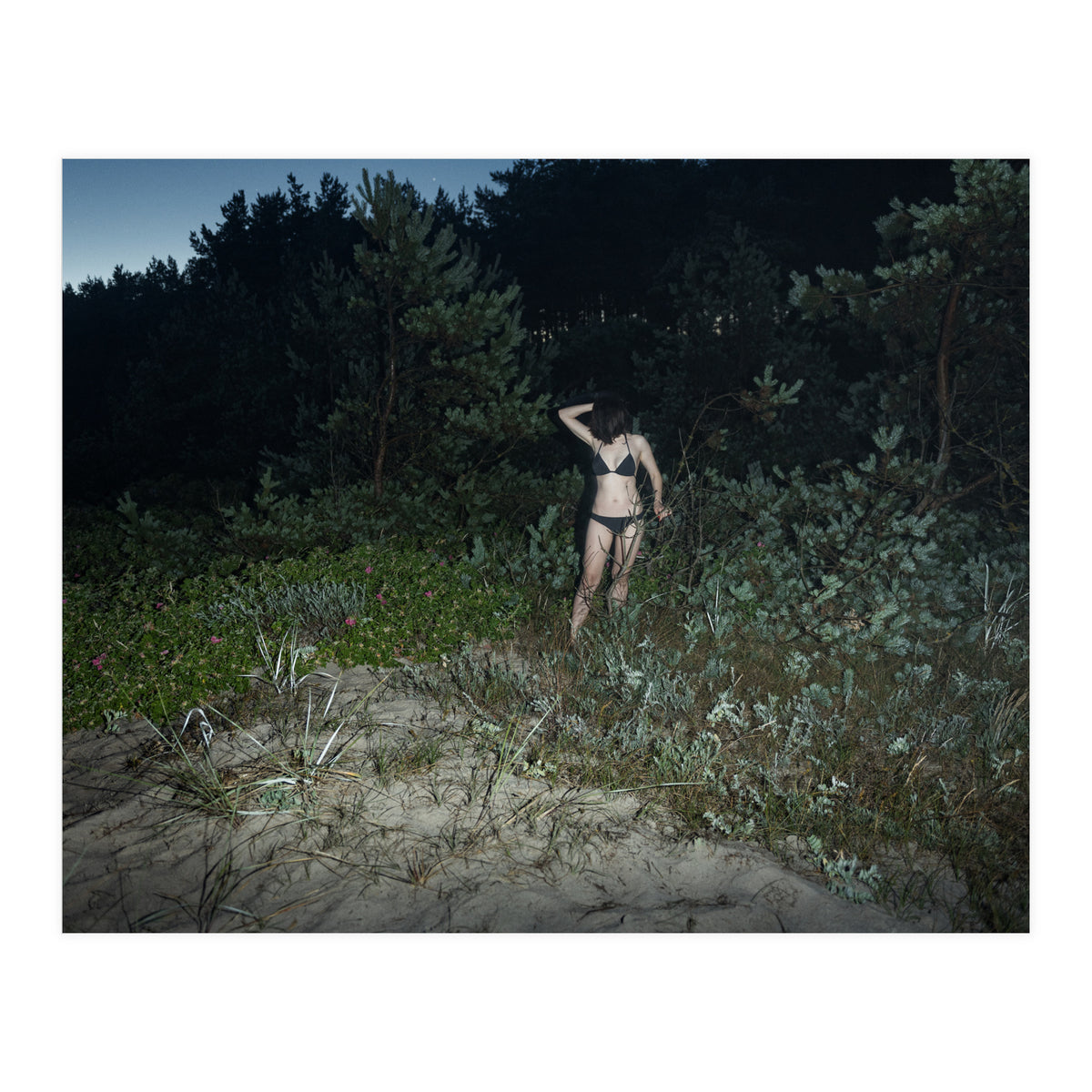 Midnight in Pape (Print Only)