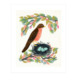 Robin (Print Only) thumbnail