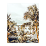 Island View (Print Only) thumbnail