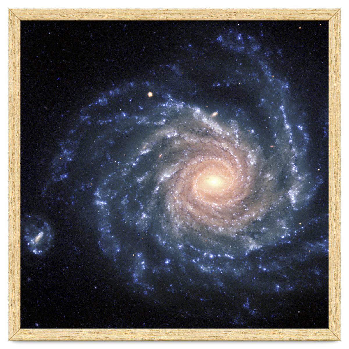 Spiral Galaxy NGC 1232